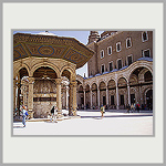 immagine piccola